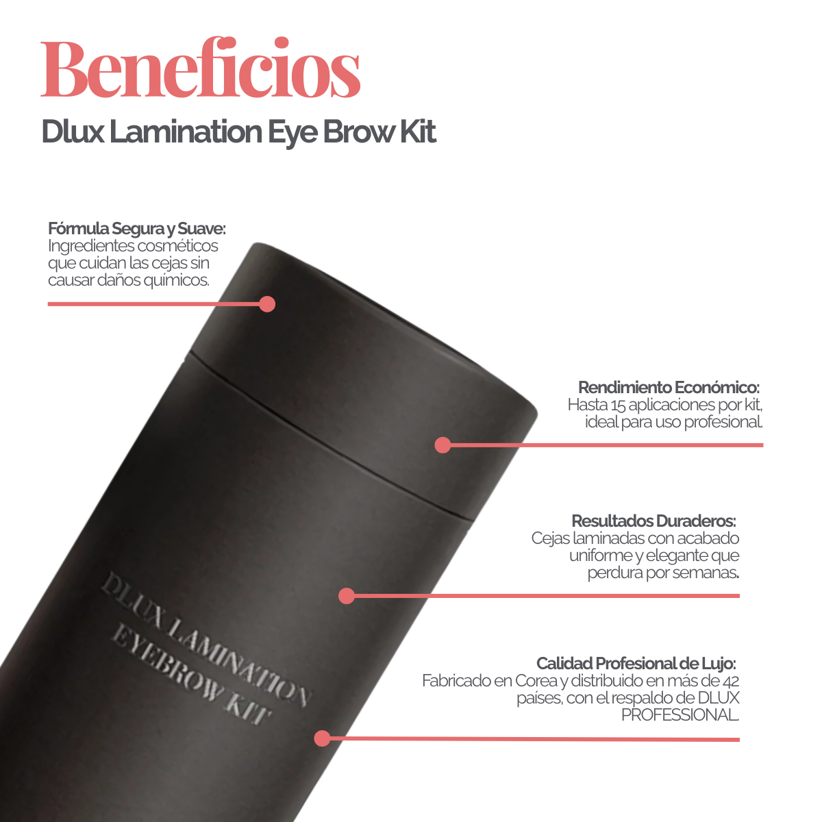 Dlux Lamination Eye Brow Kit