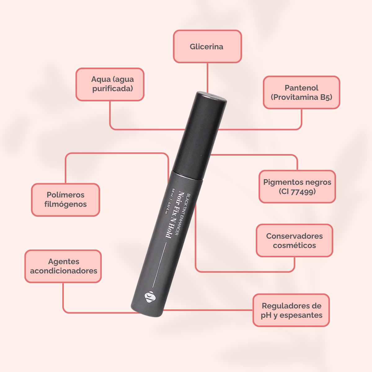 Noir Fix N Hold – Fijador Negro para Pestañas | BL Lashes