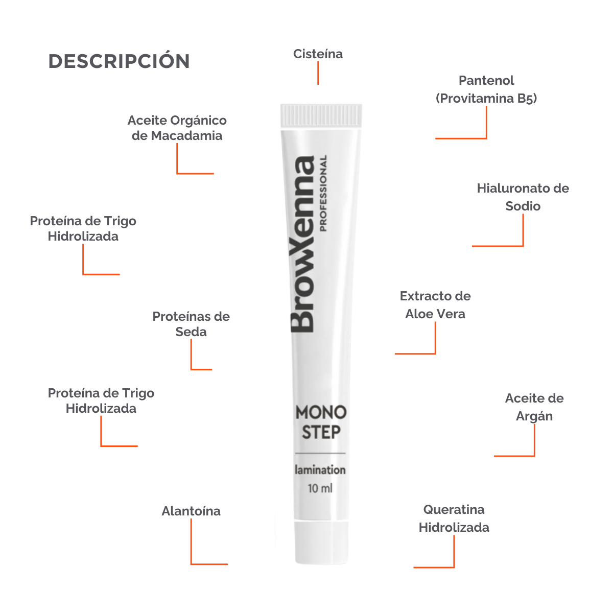 Mono Step BrowXenna® Laminación Express para Cejas & Pestañas
solución express todo‑en‑uno para laminación profesional de cejas y pestañas, que define forma, ofrece volumen y restaura en un solo paso.